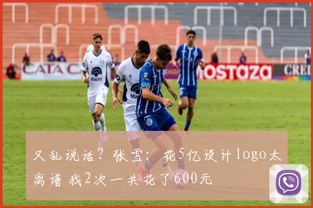又乱说话？张雪：花5亿设计logo太离谱 我2次一共花了600元